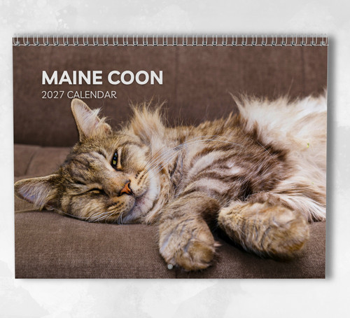 Maine coon calendar 2027 - maine,