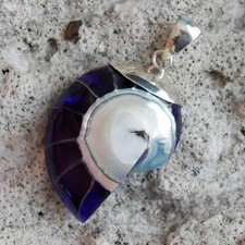 Small Purple Nautilus Shell