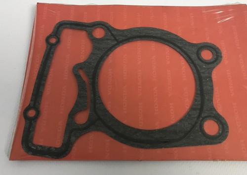 Cylinder gasket - cylinder,