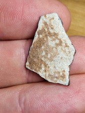 Black Friday Sale! 25% off! Raptor Egg shell! Fantastic Dinosaur Fossil Ref104