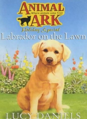 Labrador the lawn animal - labrador,