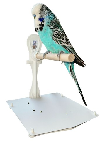 Window bird perch - perch, shower