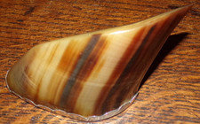Antique Bovine snuff Mull vase