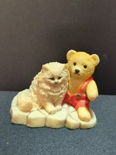 🔥Aynsley MasterCraft