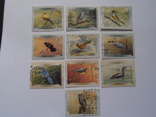 Canada group of bird - 10,