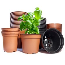 Plastic Nursery/Seedling