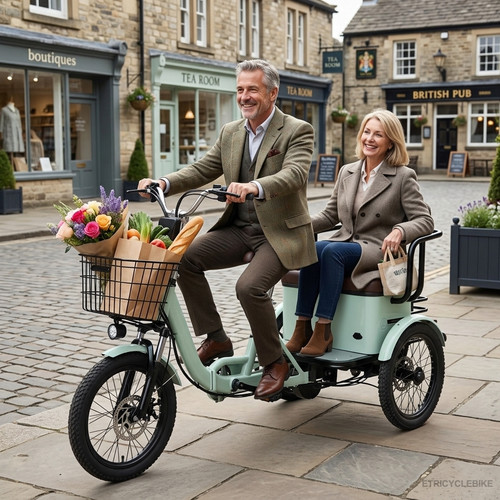 Electric wheel bike adult - electric,