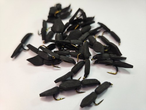 Black foam beetle - x, dry