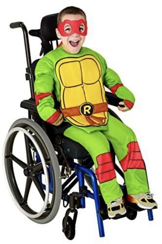 Rubies tmnt raphael costume - rubies,