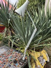 Vintage Original Herbert Terry