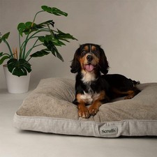 Large Dog Beds L Bed Memory