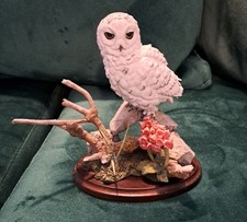 COUNTRY ARTISTS OWL, CA01940