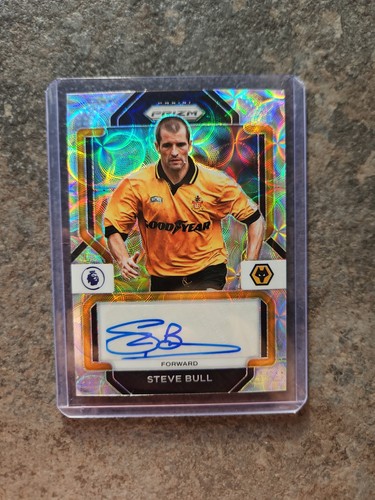 Steve bull auto choice - auto,