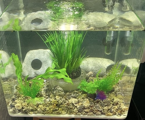 Biorb flow 30lt - flow, colour