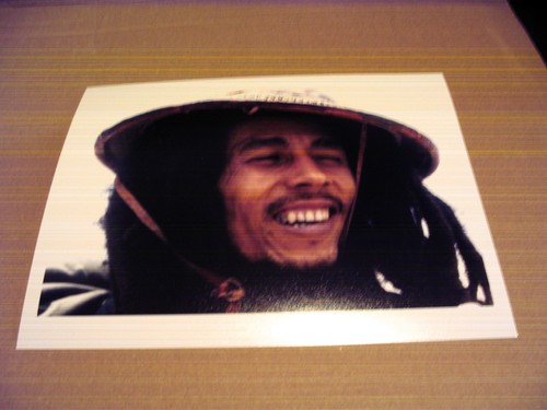Bob marley picture - bob, 12x10