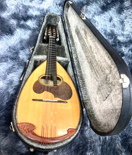 Suzuki mandolin vintage - m-30,