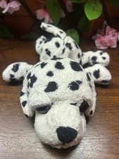 Dalmatian Dog White Black