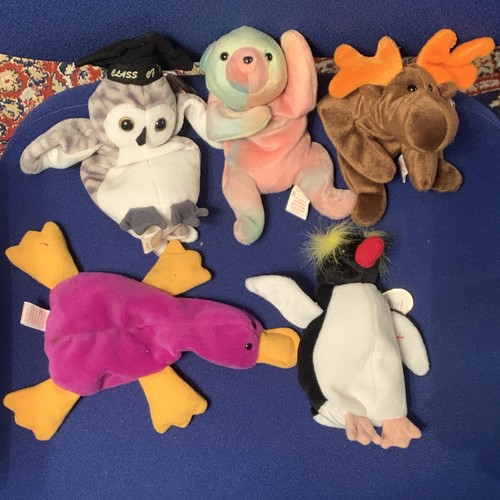 Beanie babies animals - ty,
