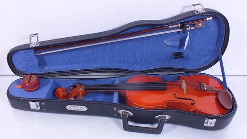 Stentor size student - stentor,