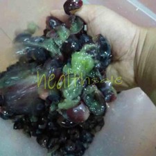 Electric Grape Crusher