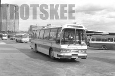 35mm Black and White Negative