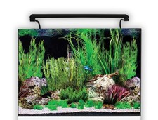 Aqua One AquaNano Aquariums