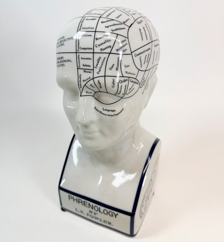 Ceramic phrenology head - ceramic,