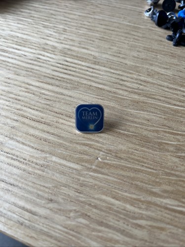 Thorpe park team merlin pin - thorpe,