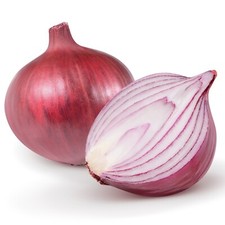 Vegetable Plants - Red Onion -