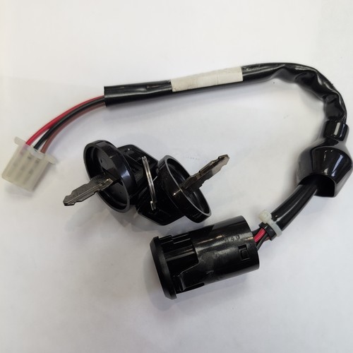 Quadzilla ignition and key - ignition,