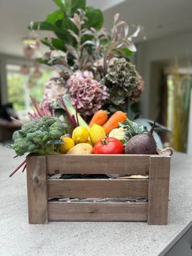 Apple crate slatted brown - apple,