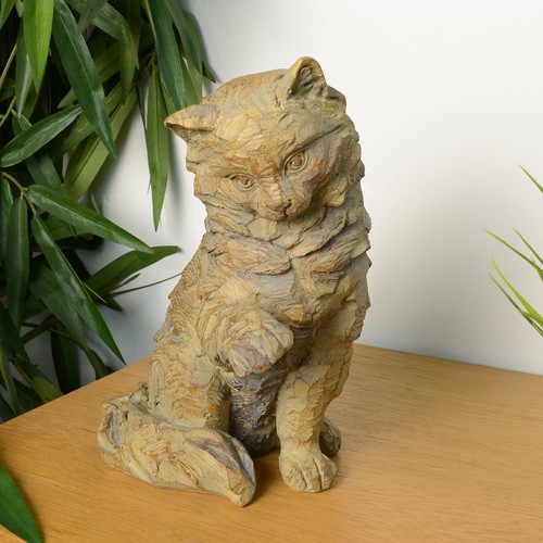 Sitting kitten indoor - sitting,