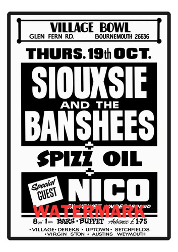 Siouxsie and the banshees gig - banshees,