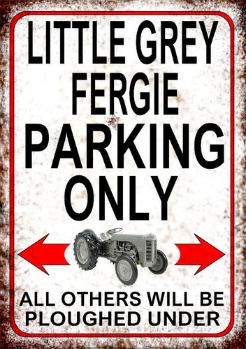 Little grey fergie - , parking