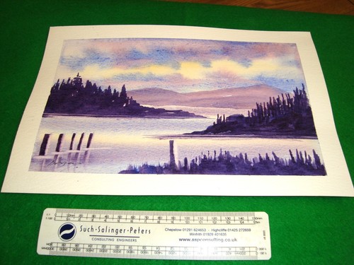 Watercolour painting brian - watercolour,