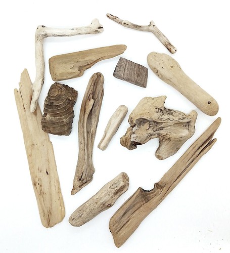 Beach driftwood natural - driftwood, 12