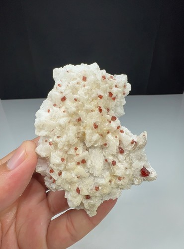 Garnet with albite - garnet,