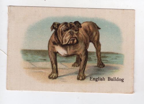 Australian issued silk card - issued,
