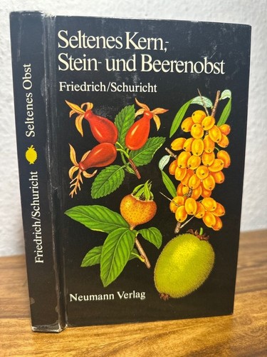 Seltenes kern stein - seltenes, stein-