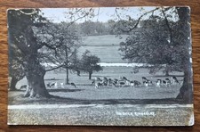 1914 The Deer, Kimberley Park