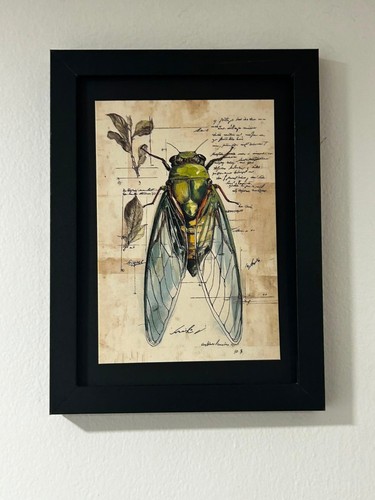 Vintage beetle illustration - vintage,