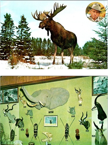 Postcards grayling mi - 2~postcards,