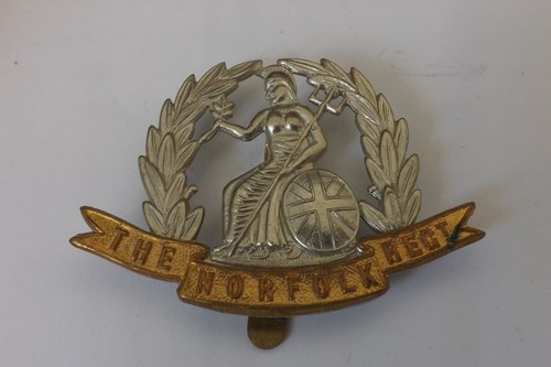 Military badge the norfolk - military,