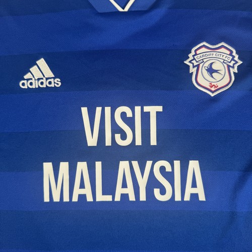 Cardiff city football - cardiff,