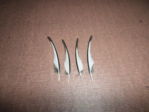 Magpie pin feathers 25 - pin,