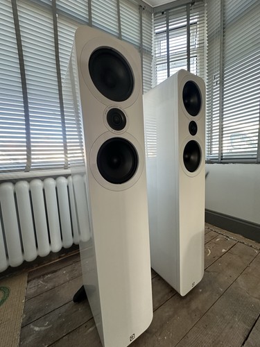 Acoustics 3050 gloss - acoustics,