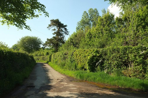 Photo 12x8 lane - photo, manna