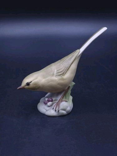 Aynsley wild bird series - bird,