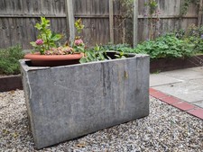 Vintage Garden Galvanised Water Tank Trough Planter Olive Bay Tree FREE UK P&P