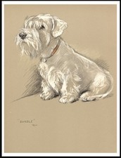 SEALYHAM TERRIER SEATED DOG